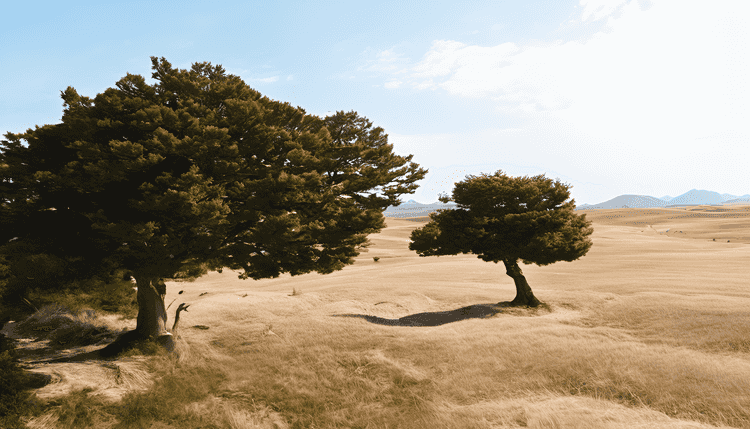 Pythonの型エイリアス(type alias)で複雑な型をシンプルに扱う - k.dev